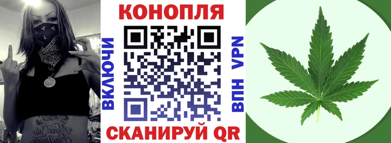 цены   Владикавказ  Конопля сатива 
